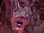 pintura. óleo.  violencia. tortura. grito. dolor